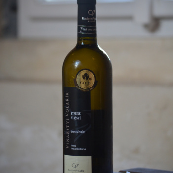 Degustace Ryzlinku vlašského